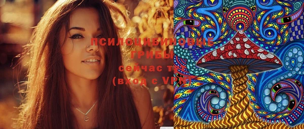 мдпв Ступино