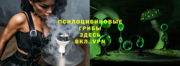 мдпв Ступино