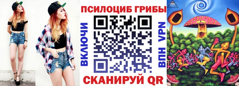 Купить где  Донской  Псилоцибиновые грибы прущие грибы 